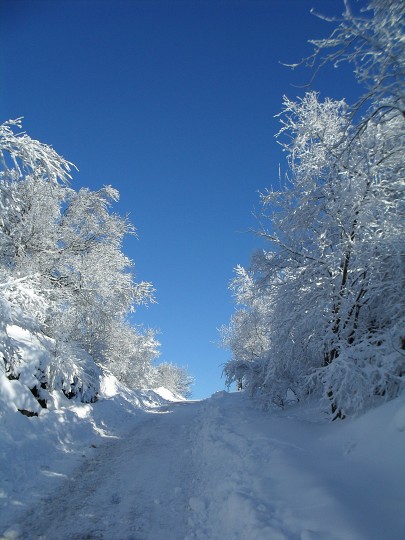 img00019.jpg