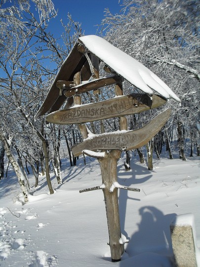 img00020.jpg