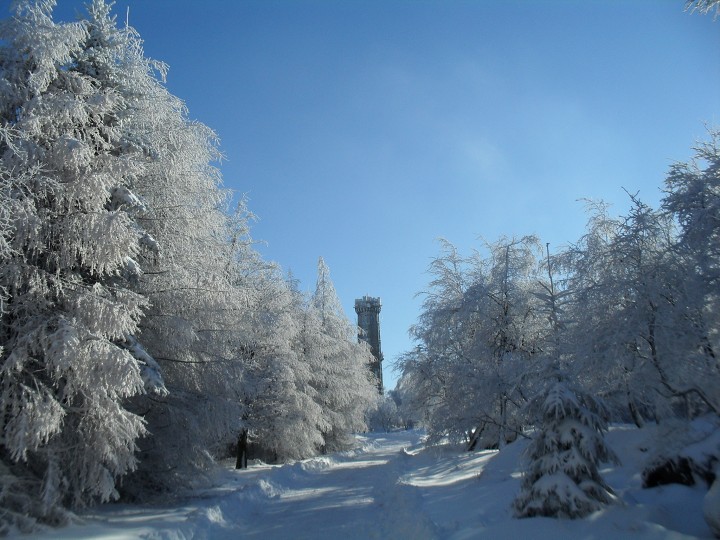 img00023.jpg