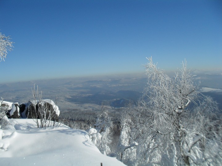 img00025.jpg