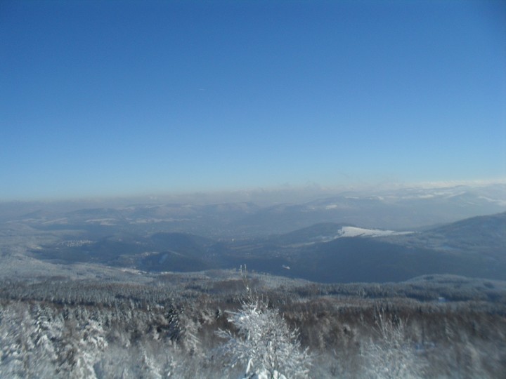 img00028.jpg
