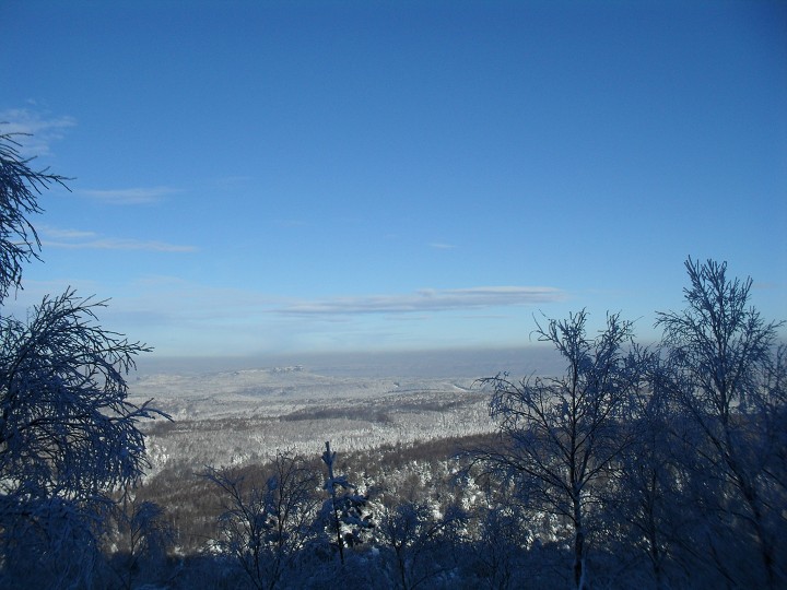 img00038.jpg