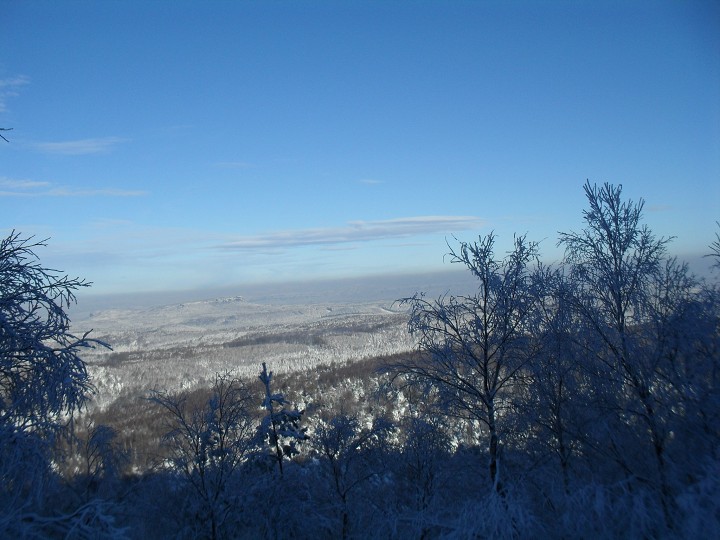 img00039.jpg