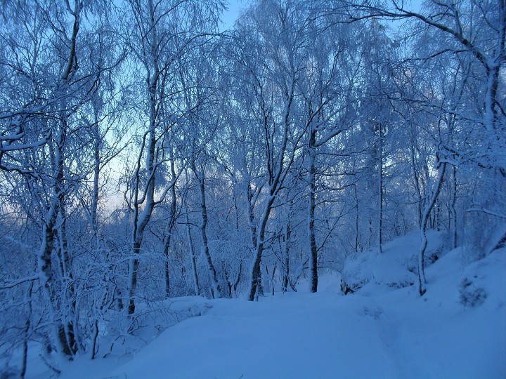 img00046.jpg