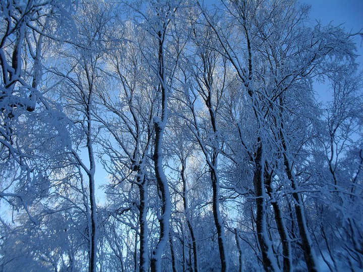 img00047.jpg