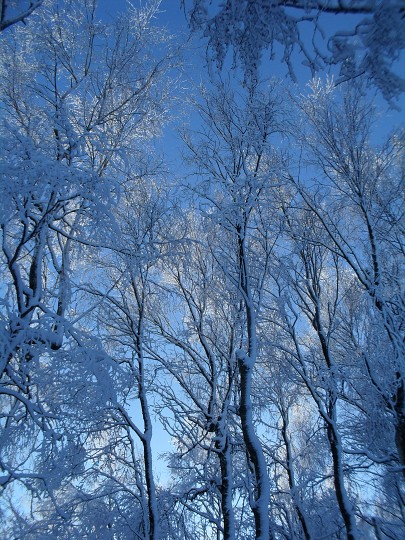 img00048.jpg