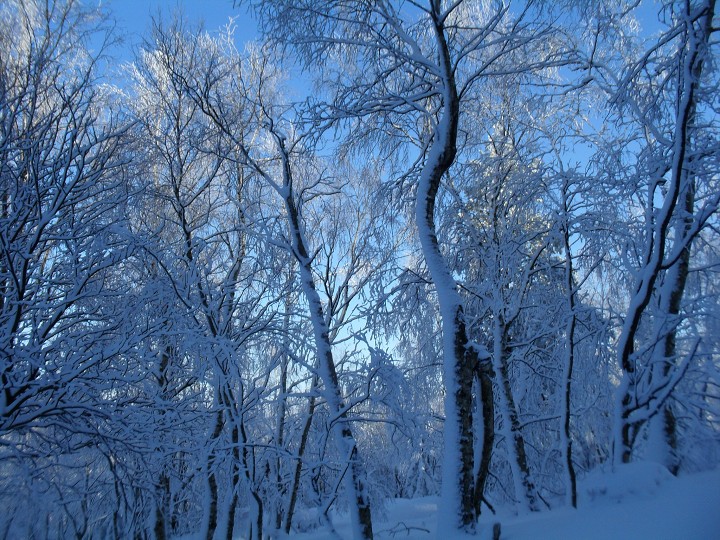 img00049.jpg