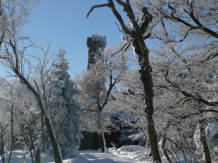 img00058.jpg