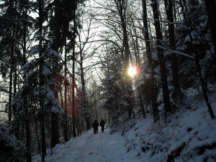 img00006.jpg