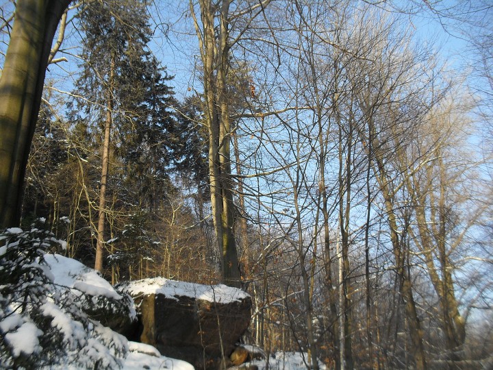 img00007.jpg
