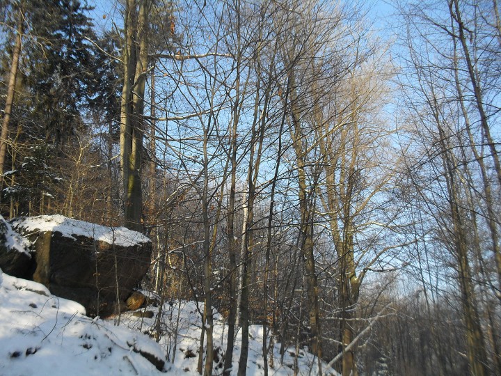 img00008.jpg