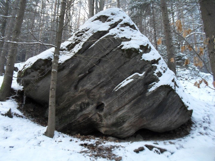 img00010.jpg