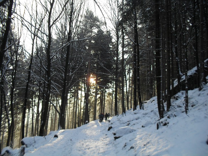 img00011.jpg