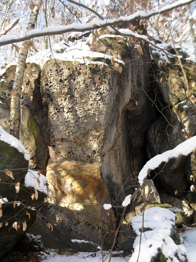 img00014.jpg