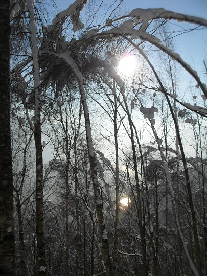 img00016.jpg
