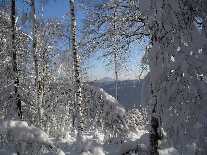 img00020.jpg