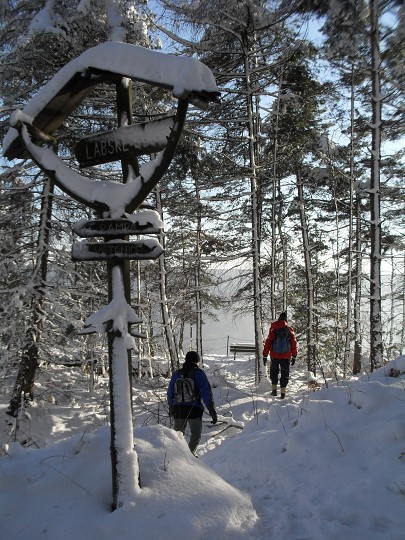 img00021.jpg