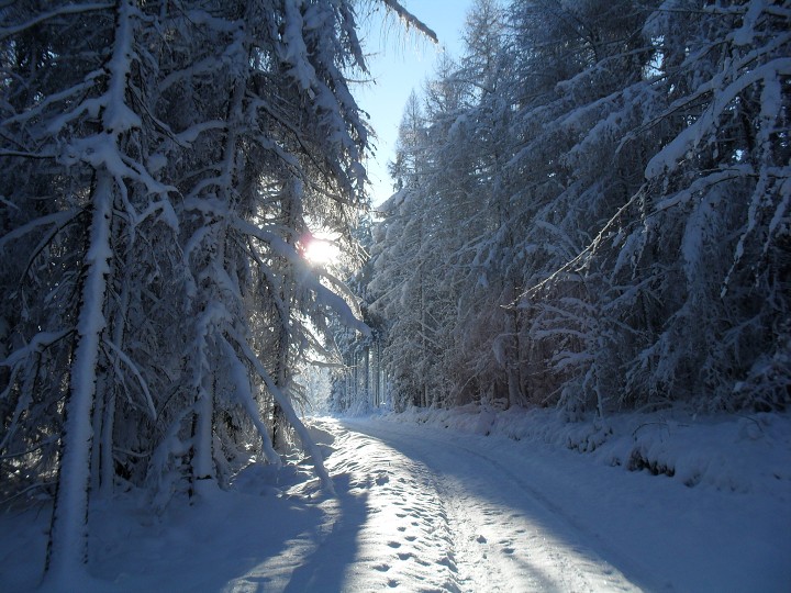 img00027.jpg