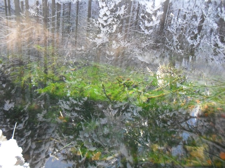 img00032.jpg