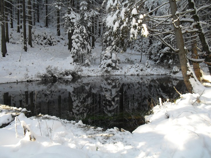 img00034.jpg
