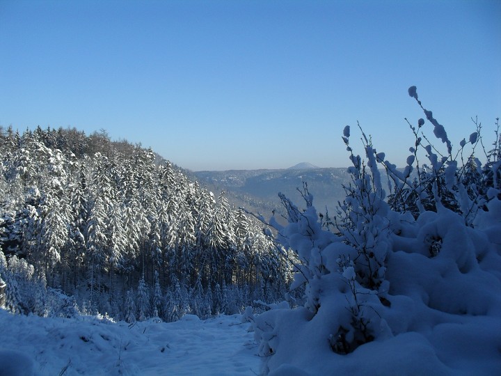 img00035.jpg