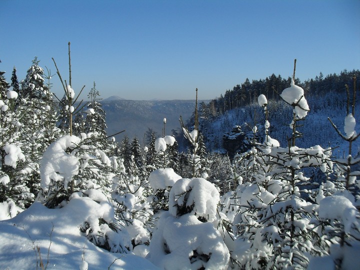 img00036.jpg