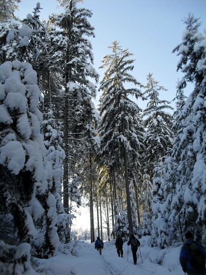 img00037.jpg