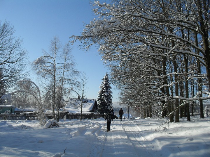 img00038.jpg