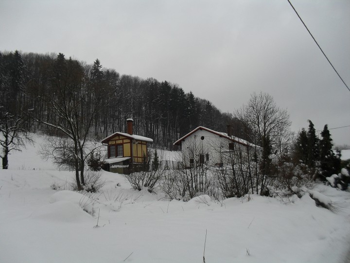img00001.jpg