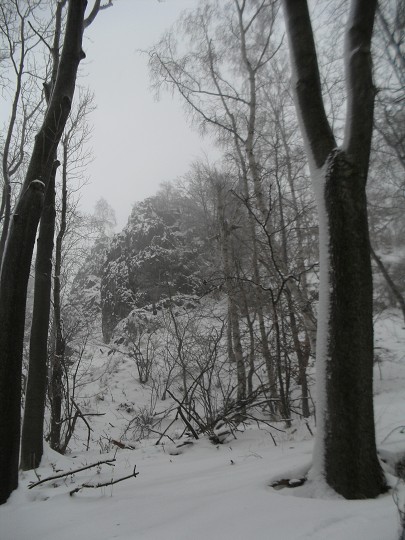 img00006.jpg
