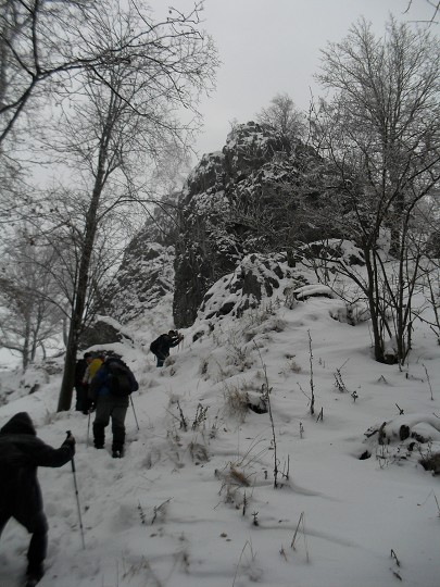 img00007.jpg