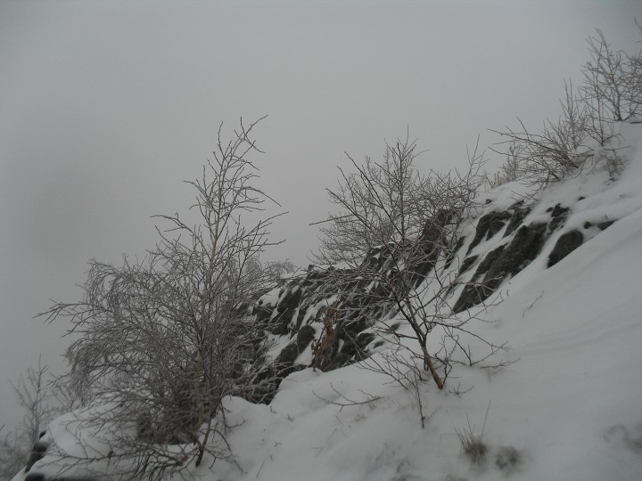 img00008.jpg