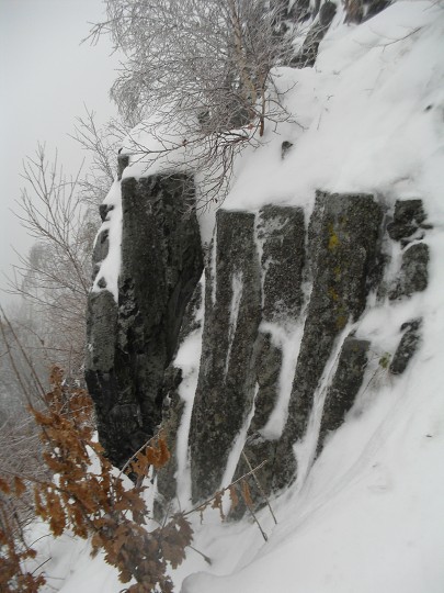 img00009.jpg