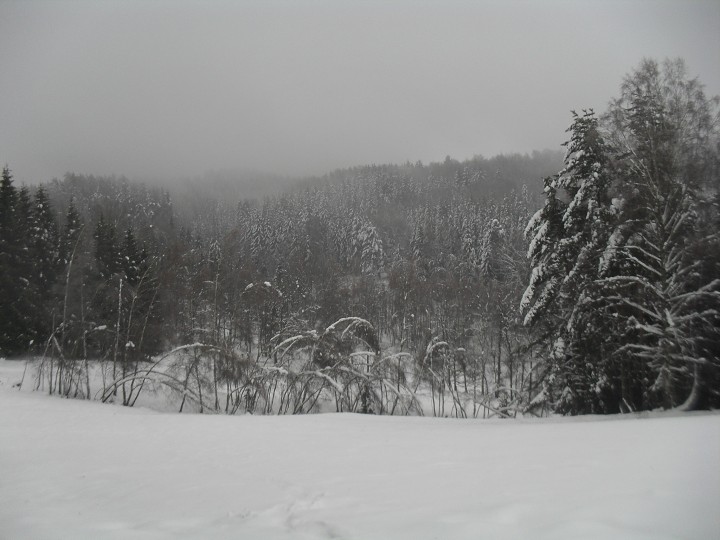 img00012.jpg