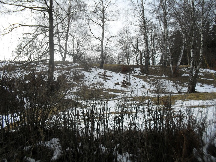 img00017.jpg