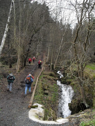 img00003.jpg
