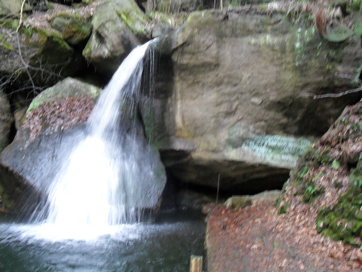 img00006.jpg