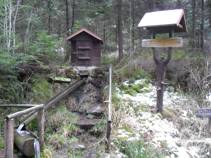 img00011.jpg