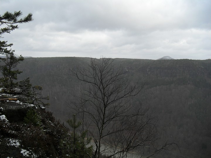img00015.jpg