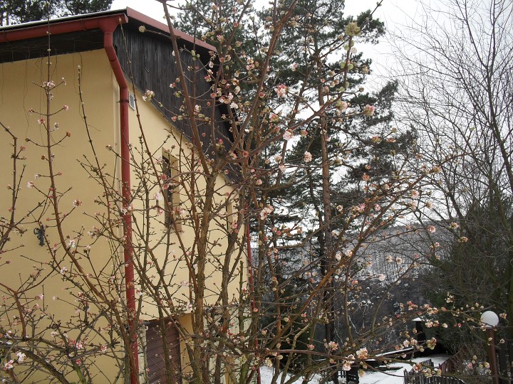 img00006.jpg