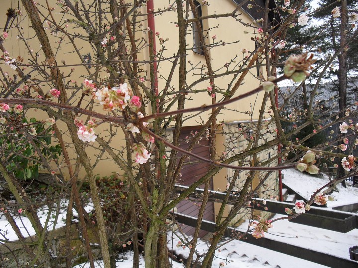 img00007.jpg
