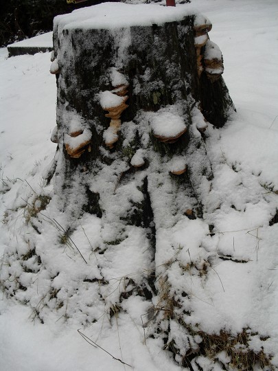 img00019.jpg