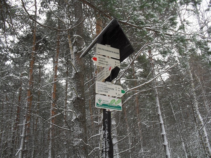 img00026.jpg