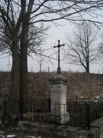 img00010.jpg