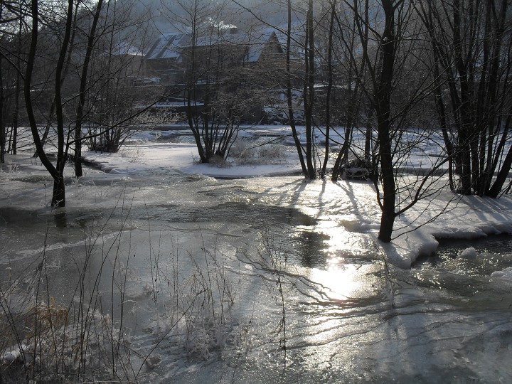 img00005.jpg