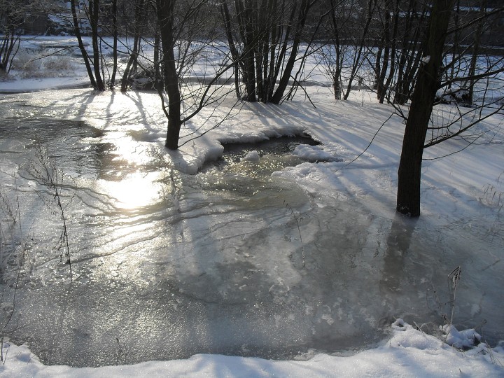 img00006.jpg