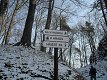 15 okolí je upravené a vykácené 
