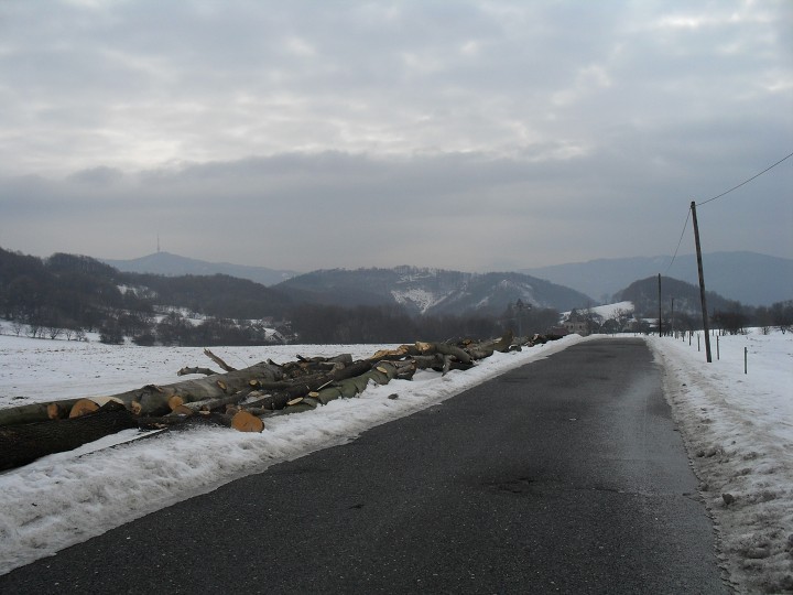 img00004.jpg