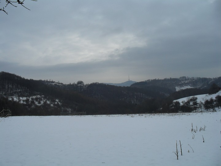 img00007.jpg