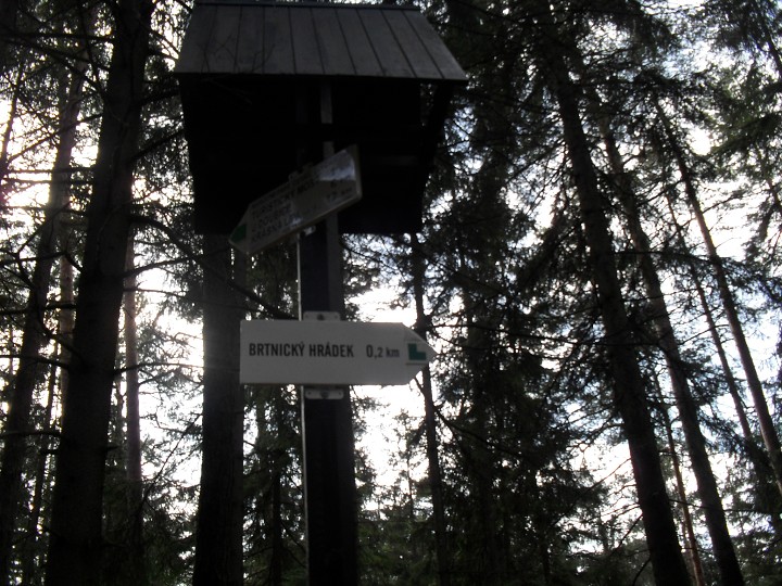 img00017.jpg